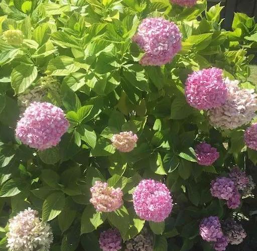 Appartement Piso De Lujo En *